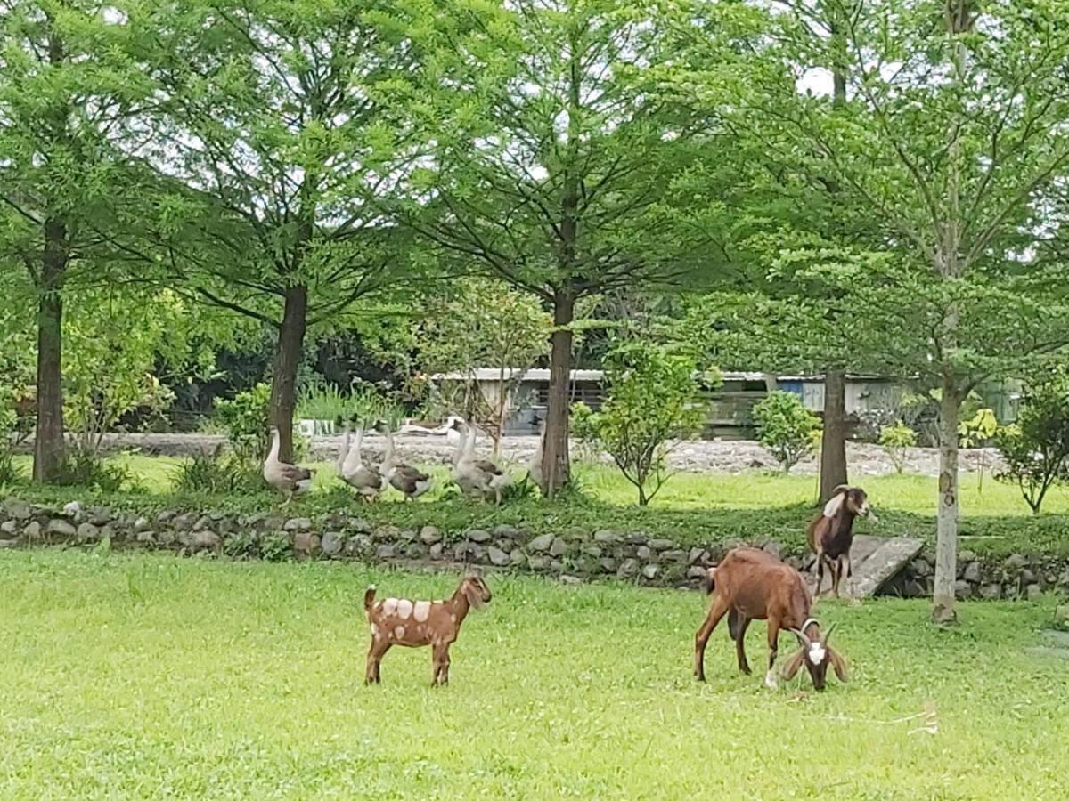 Meihua Lake Leisure Farm Dongshan  Eksteriør billede